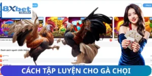 cach tap luyen cho ga choi